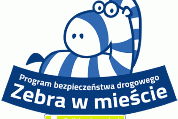 Zebra w mieście