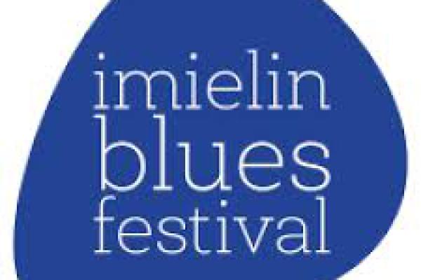 Zagraj na 11. Imielin Blues Festival