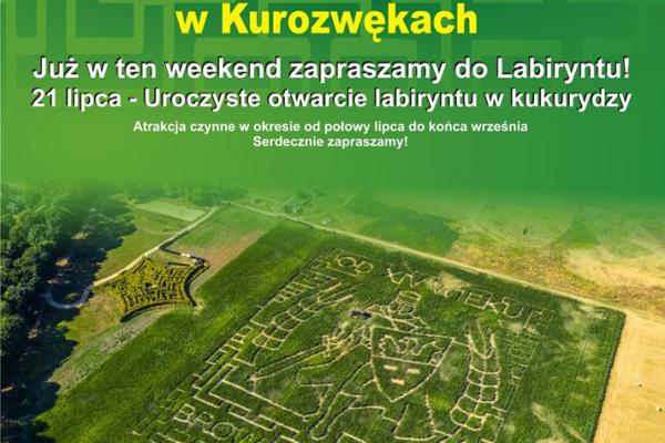 Labirynt w Kurozwękach już czeka na zwiedzających