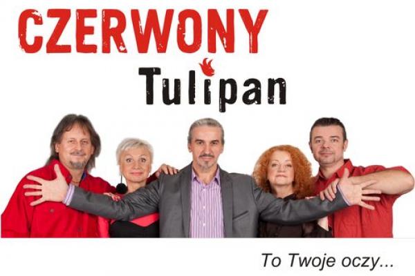 Czerwony Tulipan