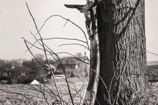 Krzyż w krajobrazie Ponidzia